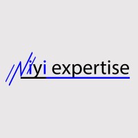 NIYI EXPERTISE logo - Similar company to Digital Winner Solutions