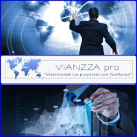 VIANZZA pro - Purchasing Support & Foreign Trade Services logo - Similar company to Heliotec
