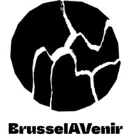 BrusselAVenir logo - Similar company to Plurality University Network