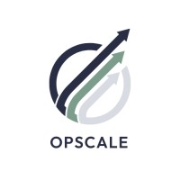 Opscale Systems logo - Similar company to Viana Communications