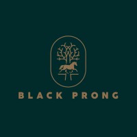 Black Prong logo - Similar company to Prong