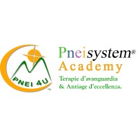 Pneisystem