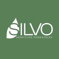 Silvo logo - Similar company to Viable Sas