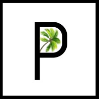 PALMS by NINA logo - Similar company to Zandu Tech