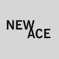 NEW ACE logo - Similar company to Mgmt Prjct