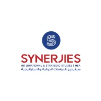 Synerjies International & Strategic Studies logo - Similar company to N Gage Consulting