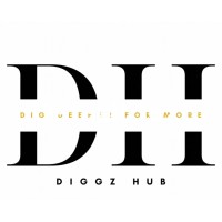 Diggz Hub logo - Similar company to Gd