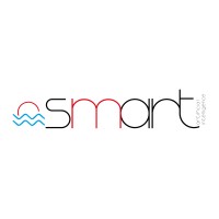 SMART AI logo - Similar company to Smart-Ai