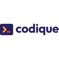 CODIQUE LTD logo - Similar company to Datarex