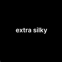 extra silky logo - Similar company to Dialectaai