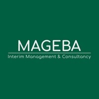 MAGEBA Interim management & consultancy logo - Similar company to Piy Ribbons