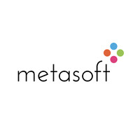 Metasoft IT Solutions logo - Similar company to Cognitive Solution