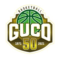 GUCO Lier logo - Similar company to Pigment | Create Colourful Value