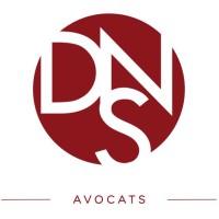 DNS AVOCATS logo - Similar company to Ls Social