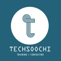 Techsoochi logo - Similar company to Felinesoft Ltd