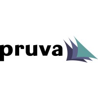 Pruva AS logo - Similar company to Efece Galvaniz