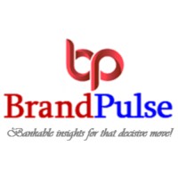 BrandPulse logo - Similar company to Povaddo
