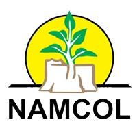 NAMCOL logo - Similar company to I-Care Health Training Institute