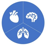 Afdeling for Bedøvelse, Smerter og Respirationsstøtte logo - Similar company to Sulh