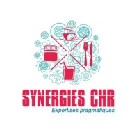 SYNERGIES CHR logo - Similar company to Ret Conseil
