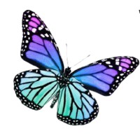 Project Nishant logo - Similar company to Volanity