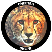 Cheetah Online logo - Similar company to Bodylite Gear