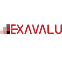 Exavalu logo - Similar company to Pbivizedit