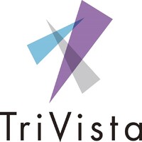 TriVista Capital Inc. logo - Similar company to Trivista
