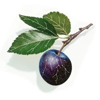 Plum Solutions Group logo - Similar company to 5Ve Collective