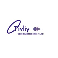 Tivliy logo - Similar company to Waverly Technologies