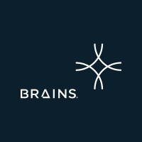 Brains Solvers logo - Similar company to Beat Programmes