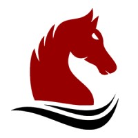 Mustang Capital logo - Similar company to Alicehacks