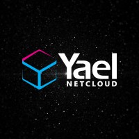 Yael NetCloud - Premier NetSuite Partner logo - Similar company to Yael Cloudtech