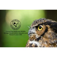 WILDLIFE IN NEED CENTER LTD logo - Similar company to Lifetime Radon Solutions