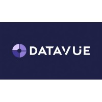 Datavue logo - Similar company to Connexions Tutoring