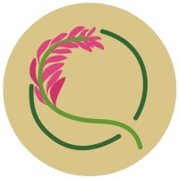 Qañiwa Perú logo - Similar company to Cimacom Innovación Y Gestión Tecnológica