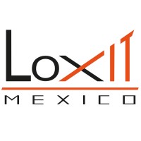 Loxit Mexico logo - Similar company to Visibility Solutions