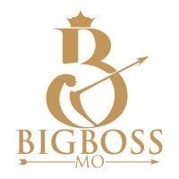 Big Boss Mo Trading PLC logo - Similar company to Michutech It Solutions