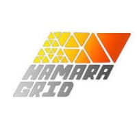 Hamara Grid Private Limited logo - Similar company to Economics Of Innovation Research Group