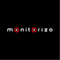MONITORIZA S.A. logo - Similar company to Msb Group Corp