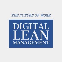 Digital Lean Management logo - Similar company to Digital Lean Systems