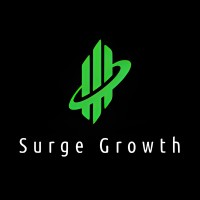 SurgeGrowth logo - Similar company to Expresspark.Ai