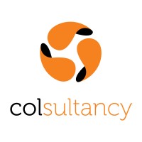colsultancy logo - Similar company to Closed