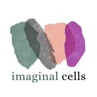 Imaginal Cells Collective