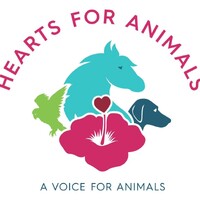 Hearts for Animals Inc