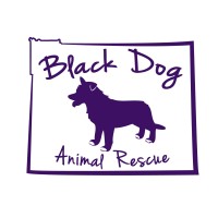 Black Dog Animal Rescue logo - Similar company to Ekoopština