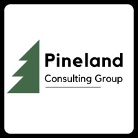 Pineland Consulting Group logo - Similar company to Contract Comms