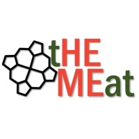 tHEMEat Company logo - Similar company to Nano Onions