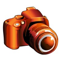 Icon Sportswire (New)