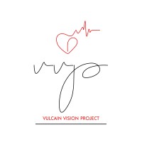 Vulcain Vision Project logo - Similar company to Institut Saint-Jacques